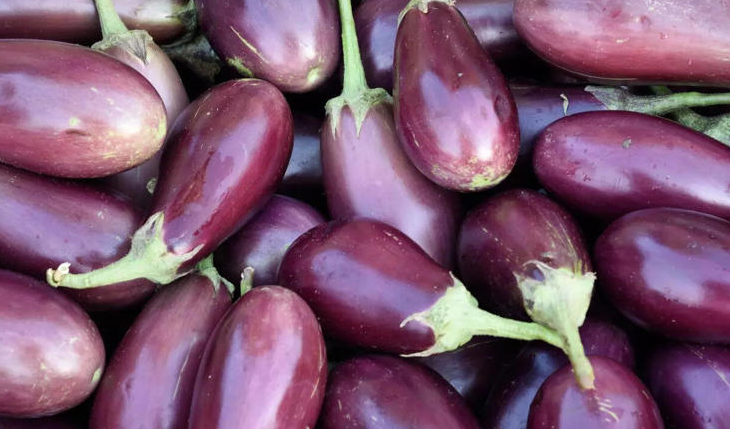 Eggplant side effects: 9 people who should avoid brinjal for health reasons Eggplant side effects: 9 people who should avoid brinjal for health reasons